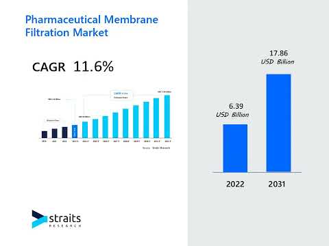 Pharmaceutical Membrane Filtration Market Analysis and Forecast: Driving Informed Decision-Making