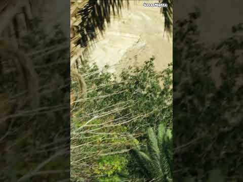 Jericho in One Minute: Palestine&#039;s Hidden Gem! #facts #travel #explore #palestine #jericho #tour