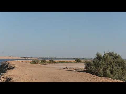 Bird Watching Adventure in Fayoum