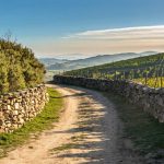 A Hidden Gem on the Camino de Santiago: Why Frómista Captures the Hearts of Pilgrims