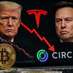Crypto Market Crashes as Trump-Musk Feud Escalates: Bitcoin Plummets, Tesla Tumbles, and Circle Soars
